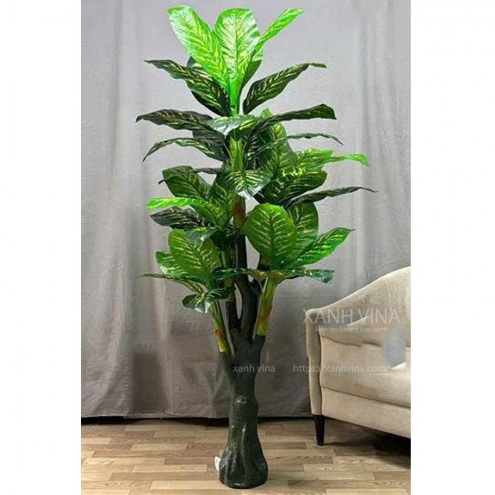 cây vạn niên thanh giả 180cm lá đốm vàng